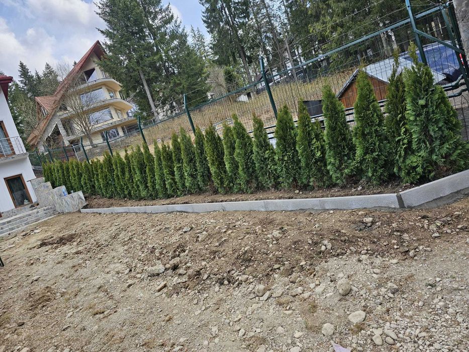 Amenajări exterioare complete – plante, gazon și montaj profesionist