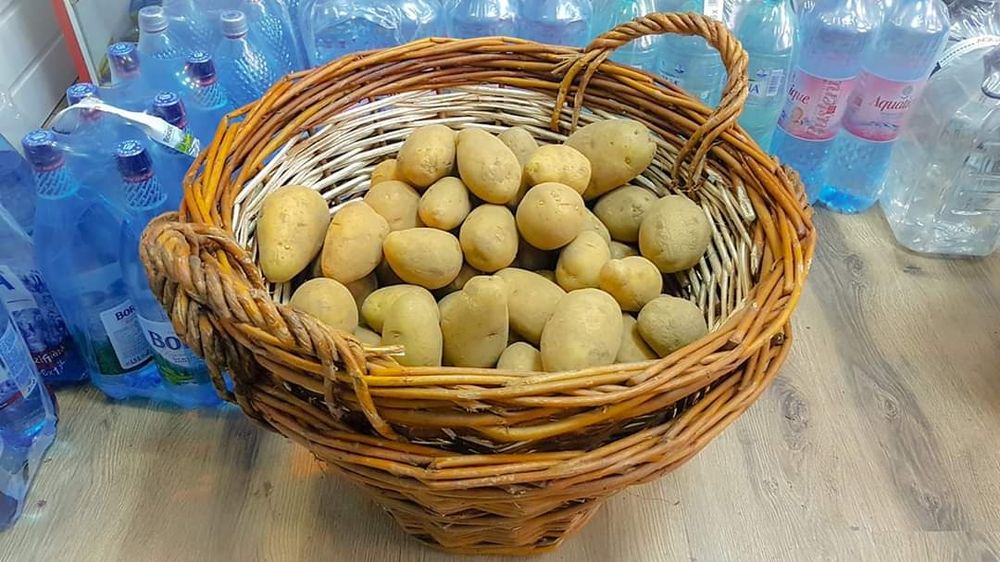 Tarna/Cos din rachita/nuiele create manual