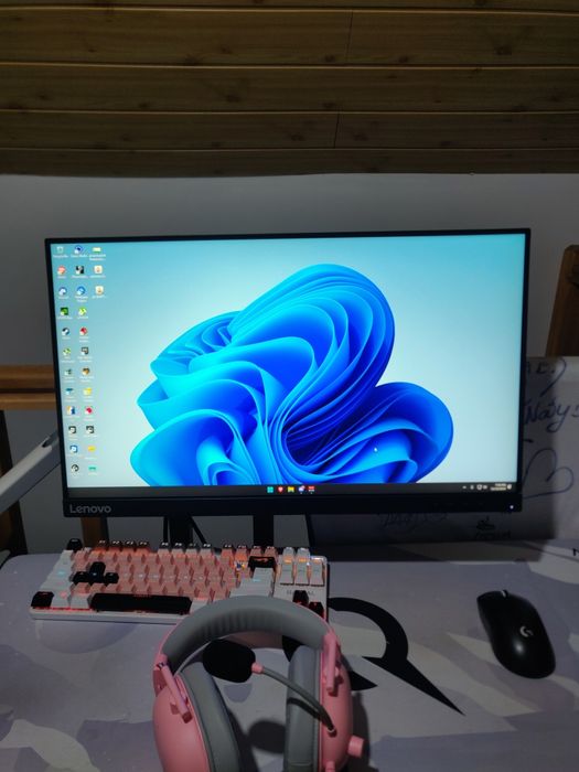 Monitor Lenovo G25-10