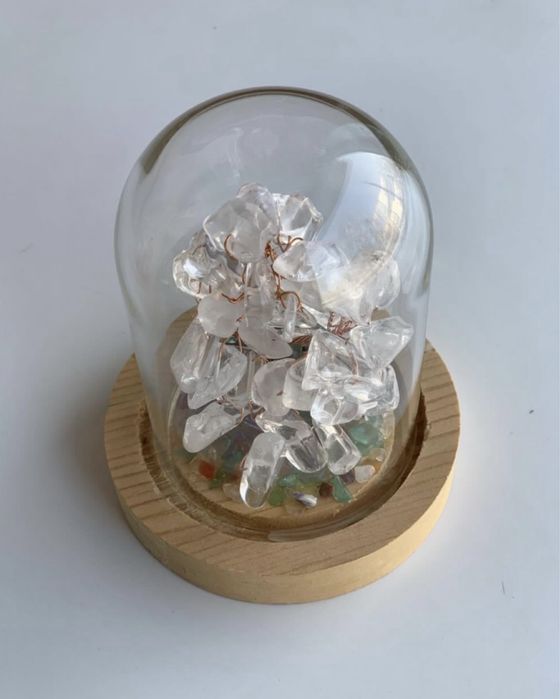 Колба - дерево жизни