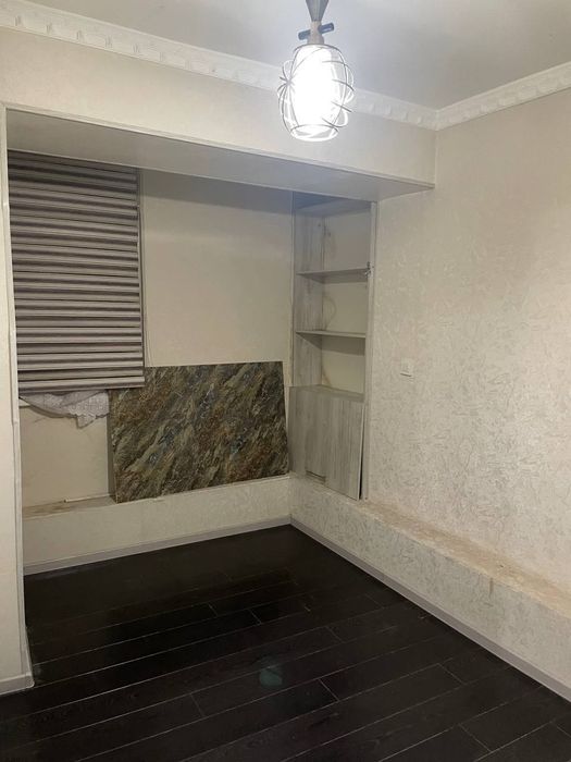 Члонзор 24 1/5/5