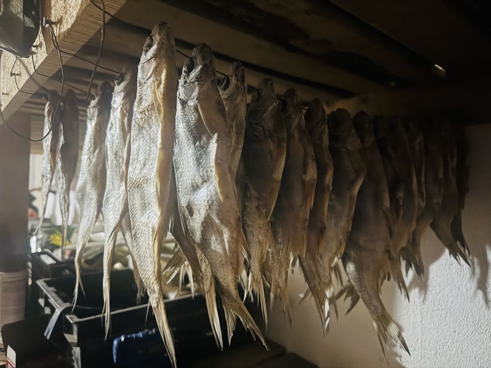 Продается чехня,рибец