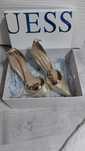 Pantofi dama Guess