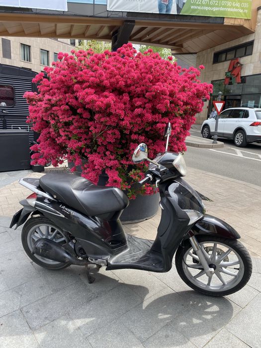 Piaggio liberty 50cc 2011