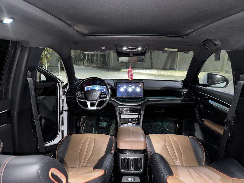 Bvd song plyus chempion