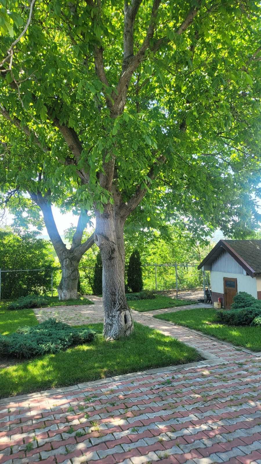 Vand CASA si TEREN in com TIbana, jud Iasi