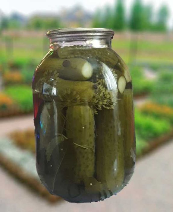 Продам солёные огурцы в 2-х литровых банках