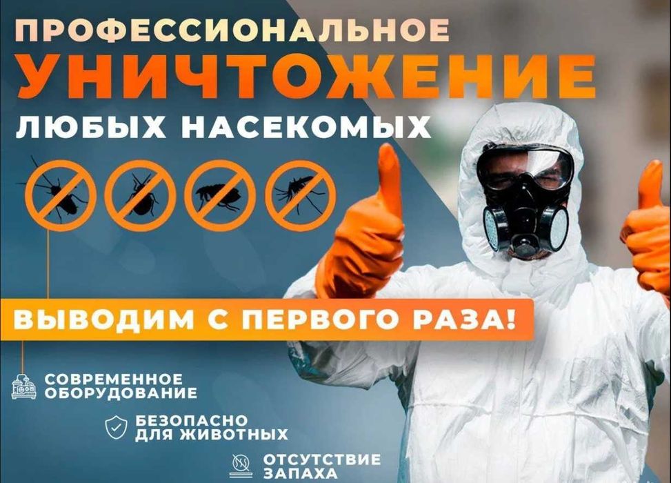 Уничтожение клопов тараканов блох змей | Dezinfeksiya xizmati Toshkent