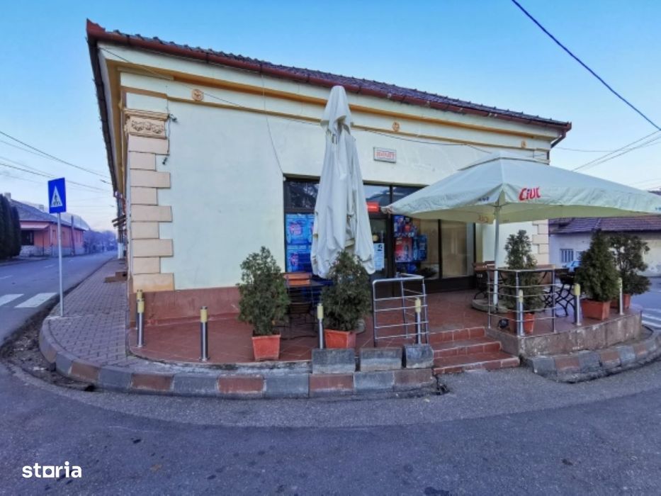 Casa+spatiu comercial in comuna Baita, suprafata utila 194mp