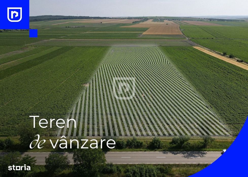 Teren - Orășeni Deal, Curtești | BOTOȘANI | 10.000mp