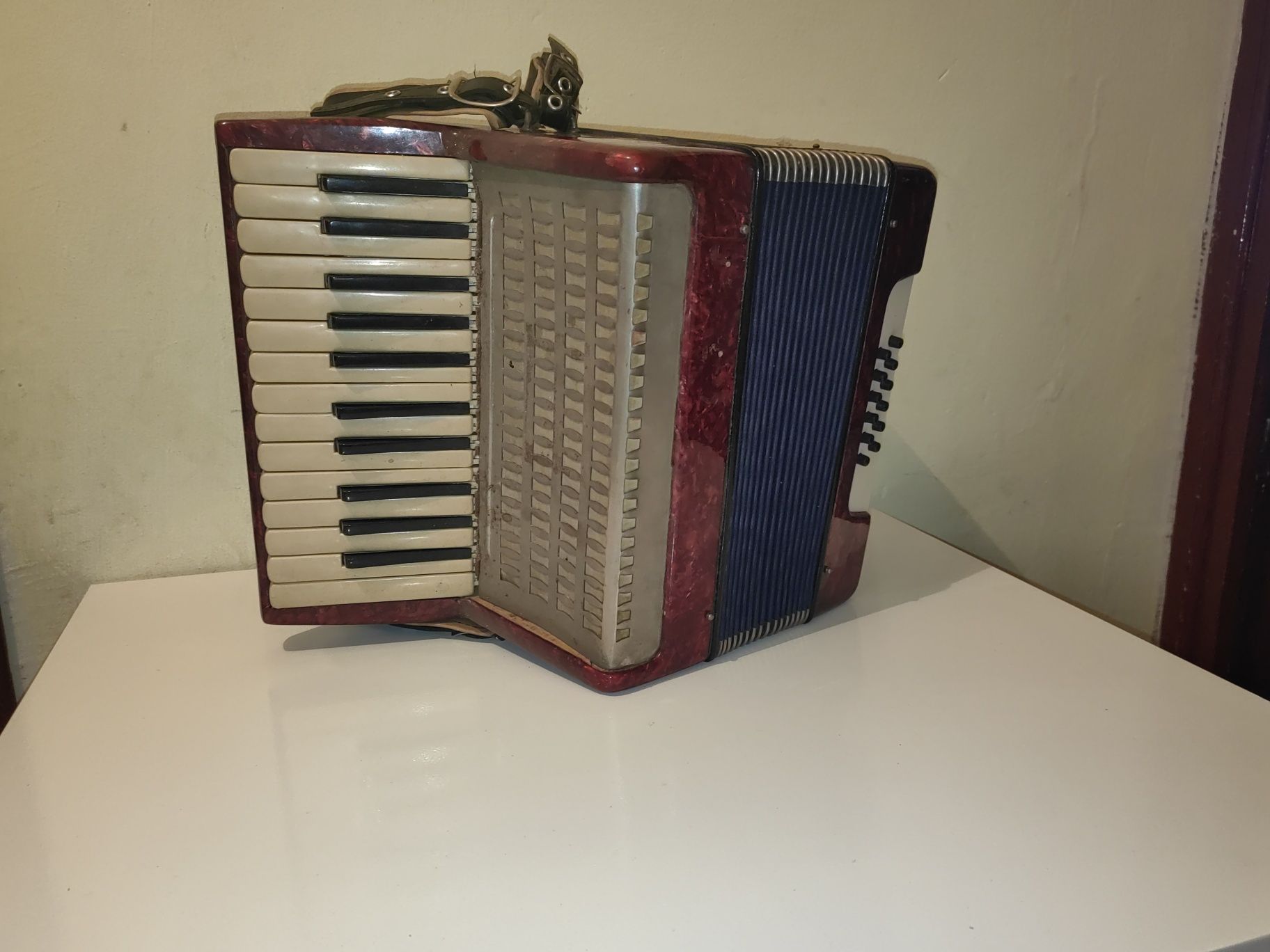 Acordeon copii .