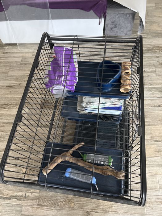 Cusca animale, rozatoare, iepuri sau chinchila