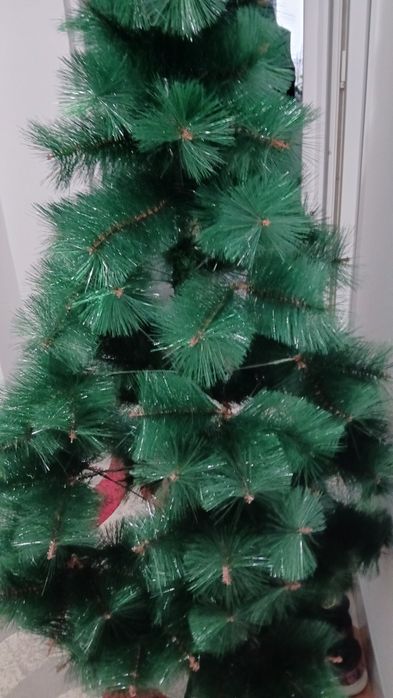 Brad de Craciun 1.80m