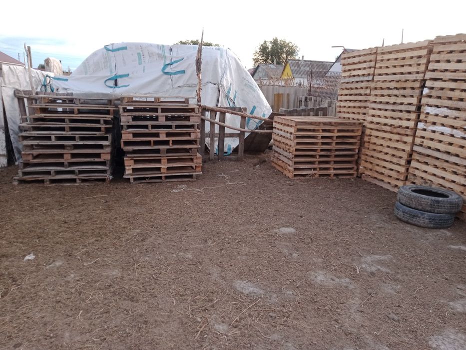 Ассалаумағалейкум