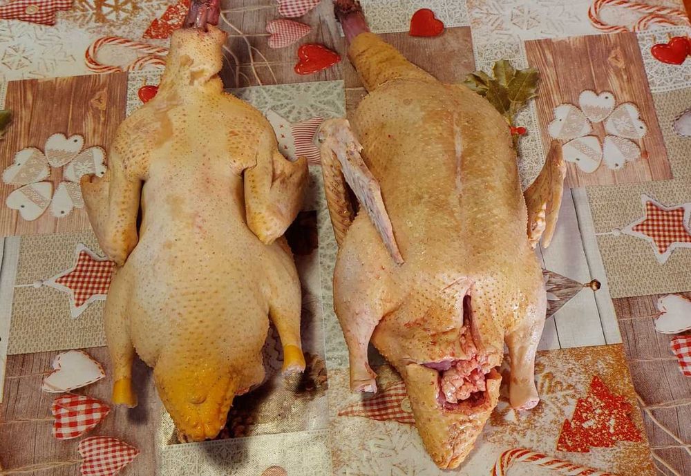 Rațe lesesti de vânzare