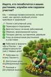 Уход за Вашими растениями | Посадка | Полив | Пересадка | Ташкент
