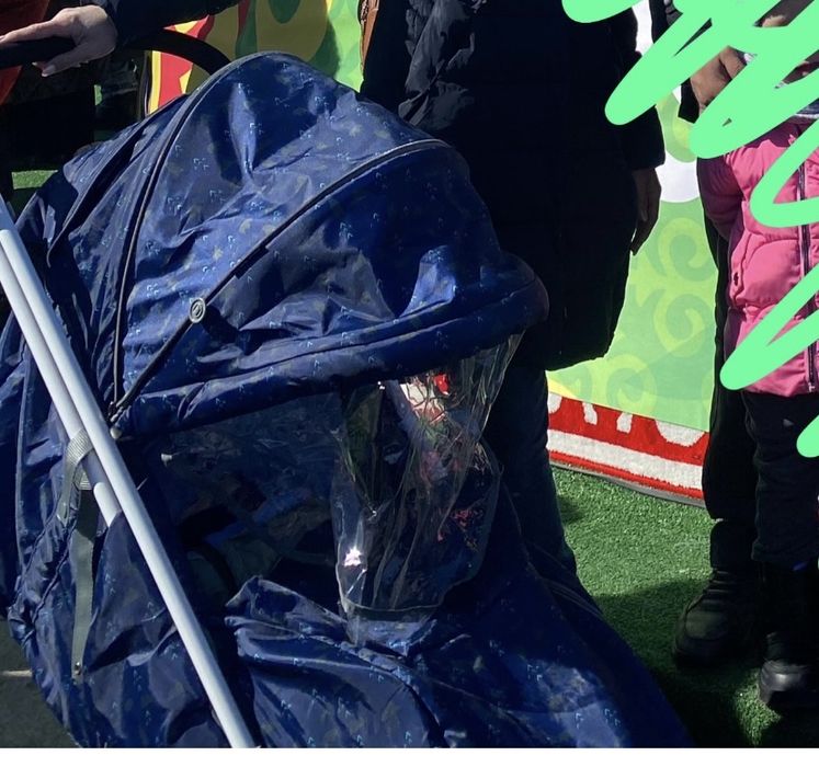 Продам санки коляску