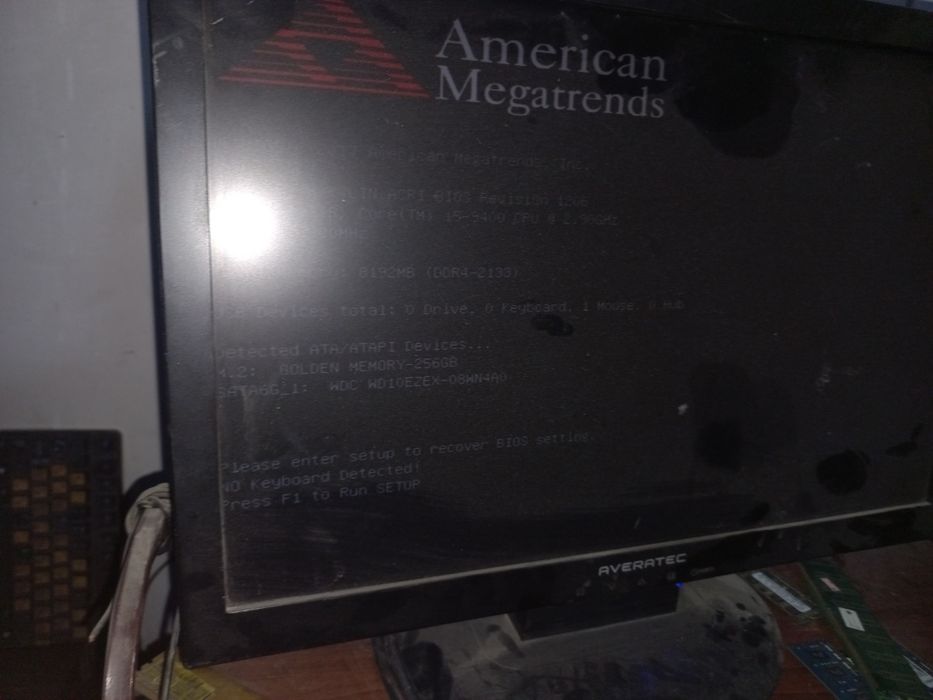 19 tali monitorla sotiladi kolechstva bor