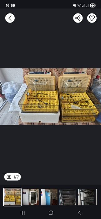 Инкубатор Janoel 96