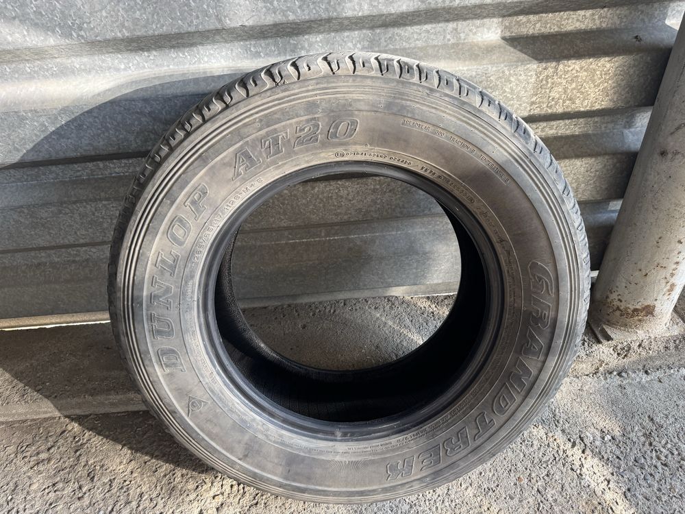 Резина Dunlop R 17