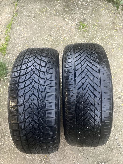 Зимна гума DAYTON DW510 EVO 205/50 R17 93V XL