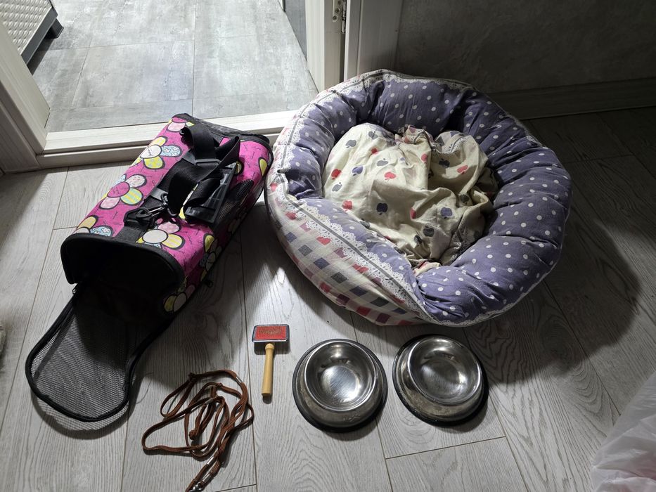 Аксессуары для собак и кошек