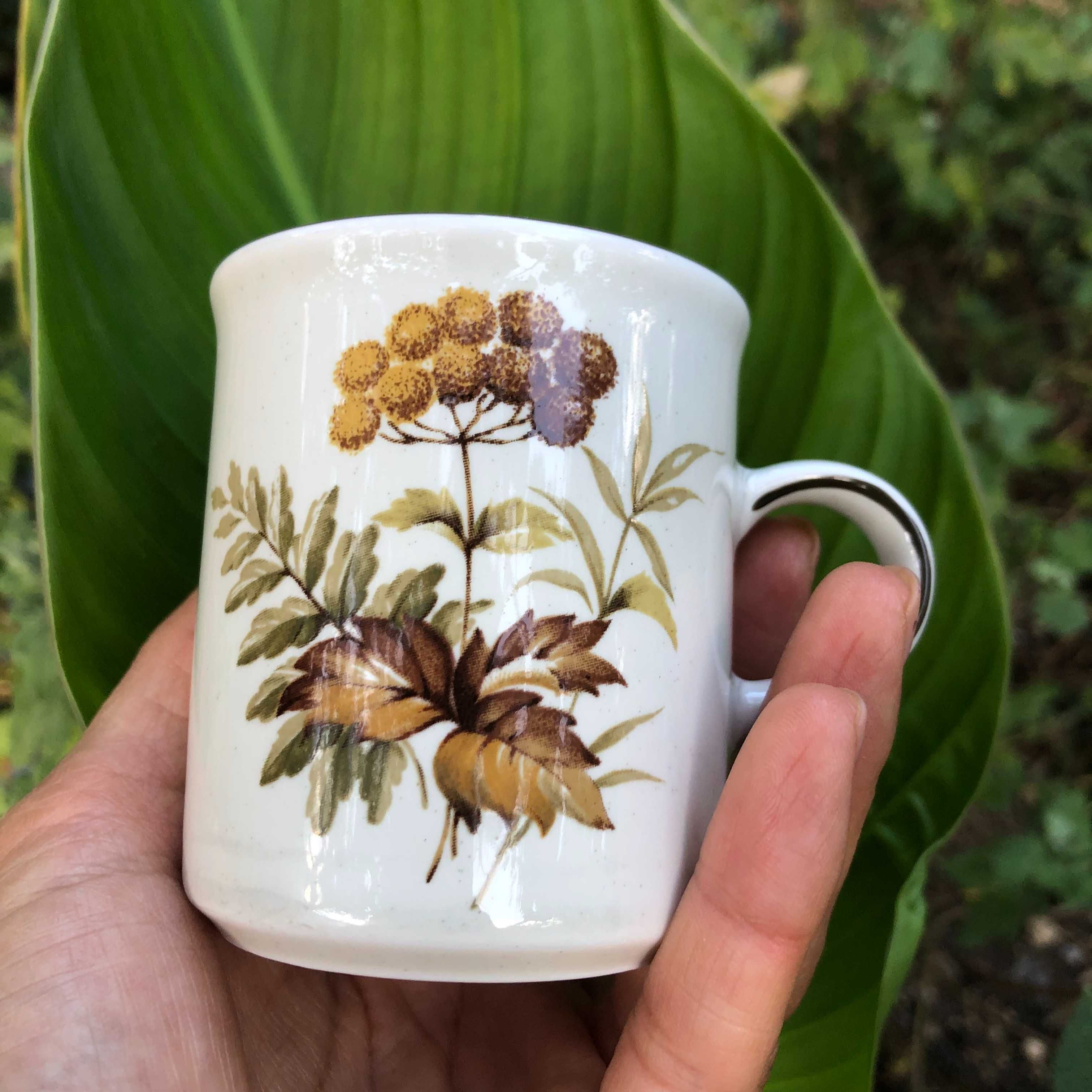 Winterling Bavaria Botanica