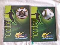 Тетради, записные книжки футбол евро 2012