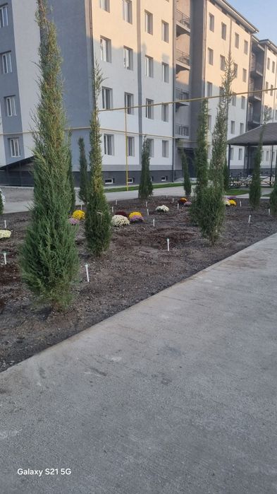 Аренда квартира, 3 хона