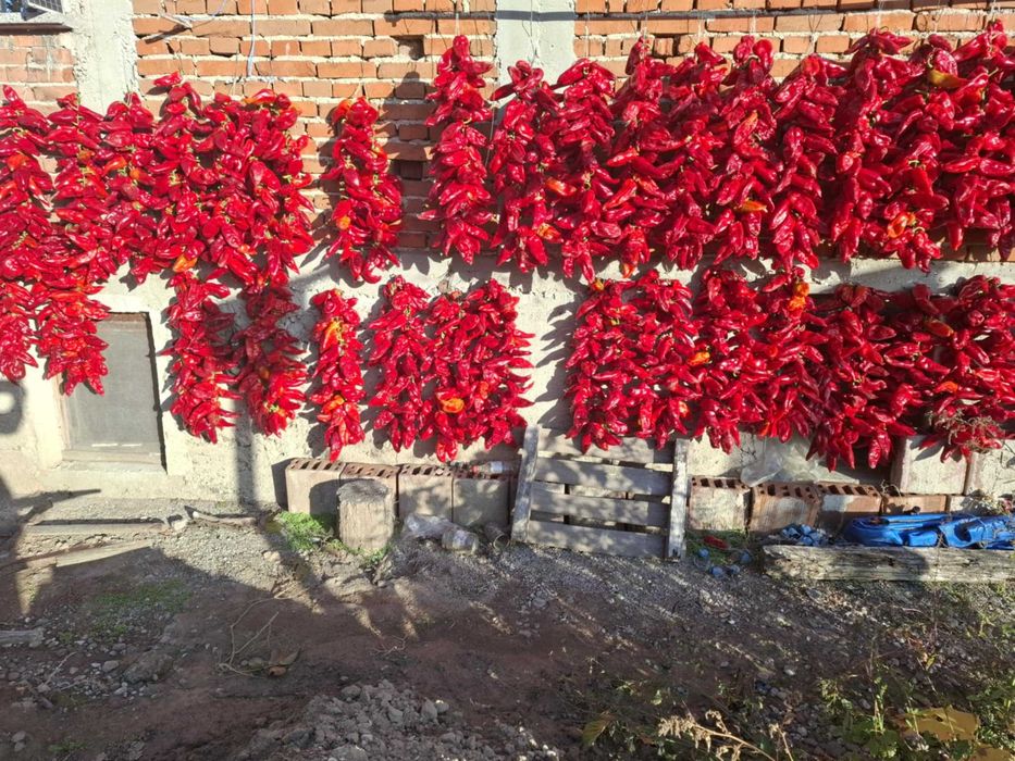 Домашно сушени чушки – българско производство, налични количества