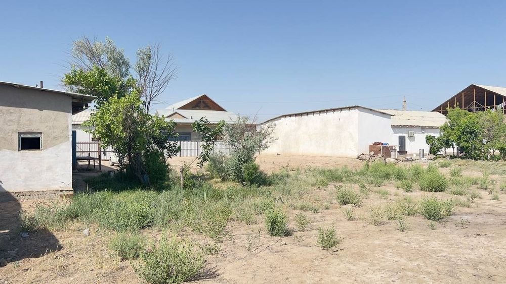 Термиз йер 5 сутук