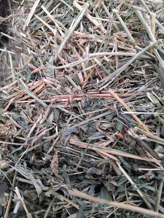 Vând baloti lucerna