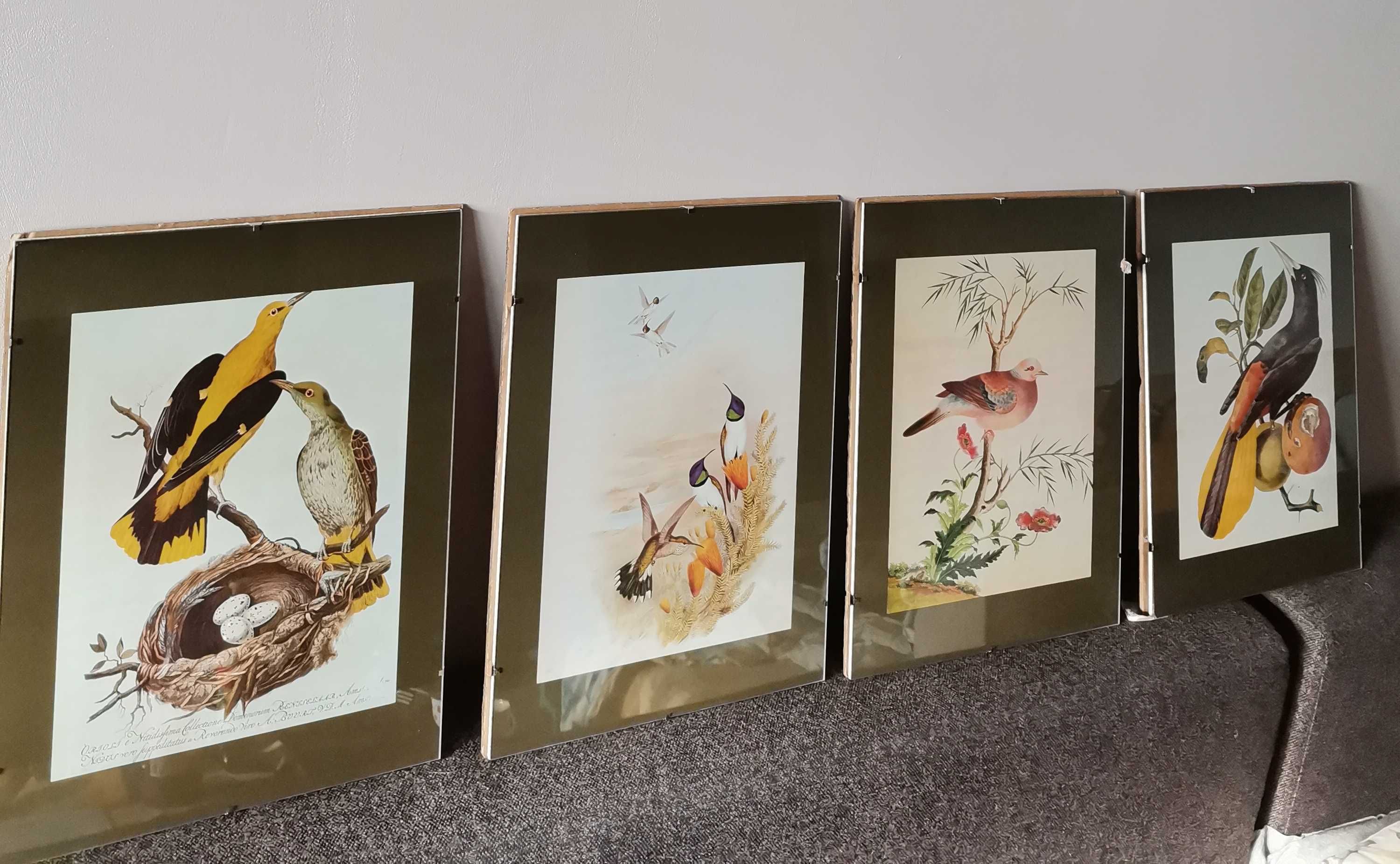 Четворна композиция картини с птици