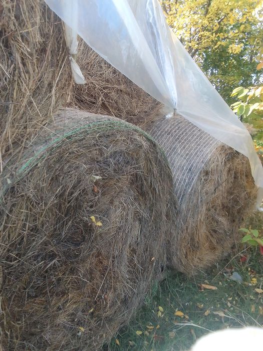 Vând baloți rotunzi de fân,120/120, preț 120
 lei bucata, tel [hidden