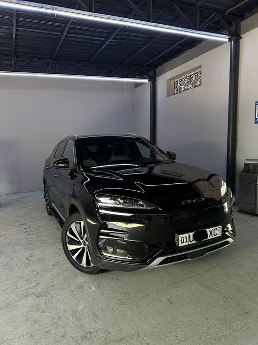 BYD Champion EV — электромобиль 2024год куплен 2025год  с запасом хода