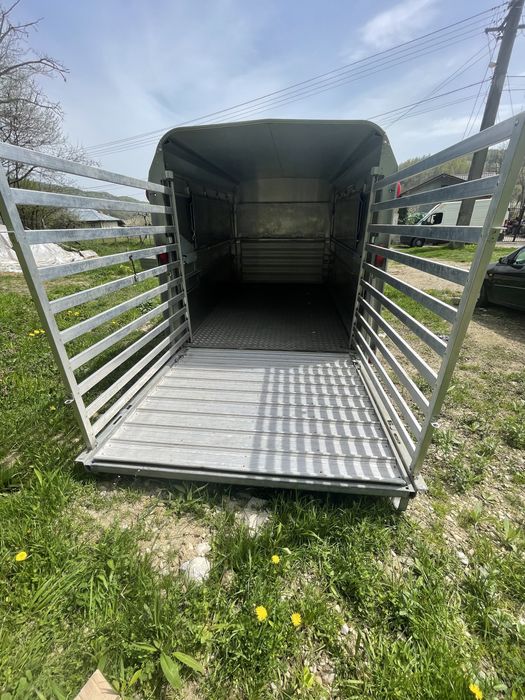 Transport animale vii autorizat