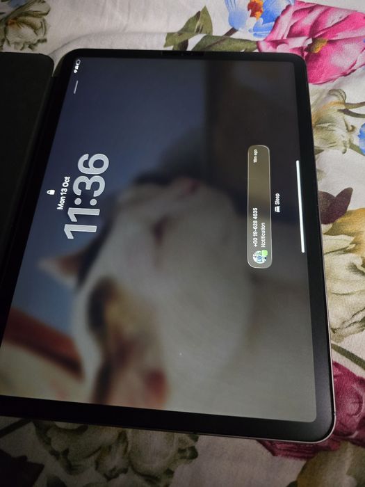 Apple ipad pro 11