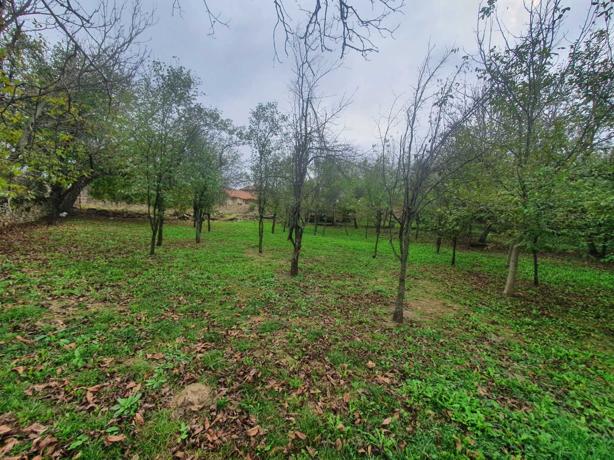 Къща в село Косарка