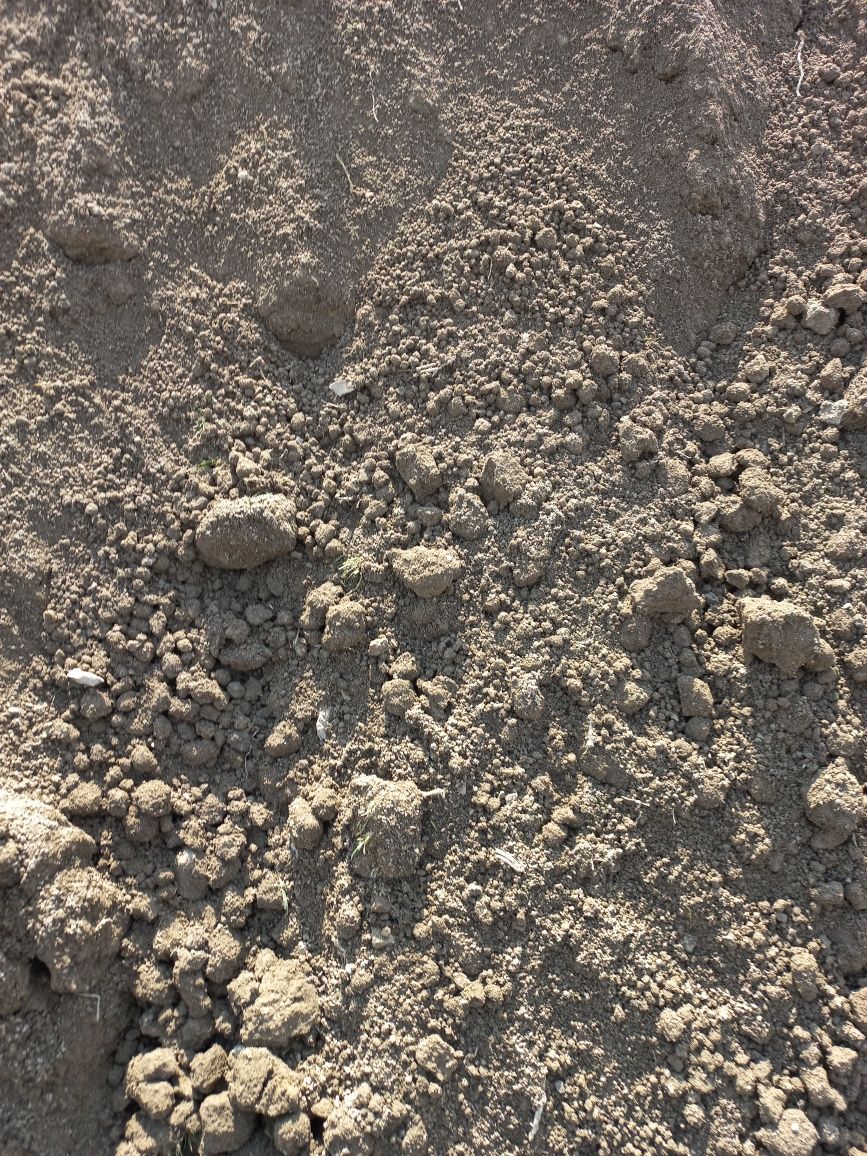 Отсев ,щебень,песок,мытыи песок,жума песок,асса песок,навоз.