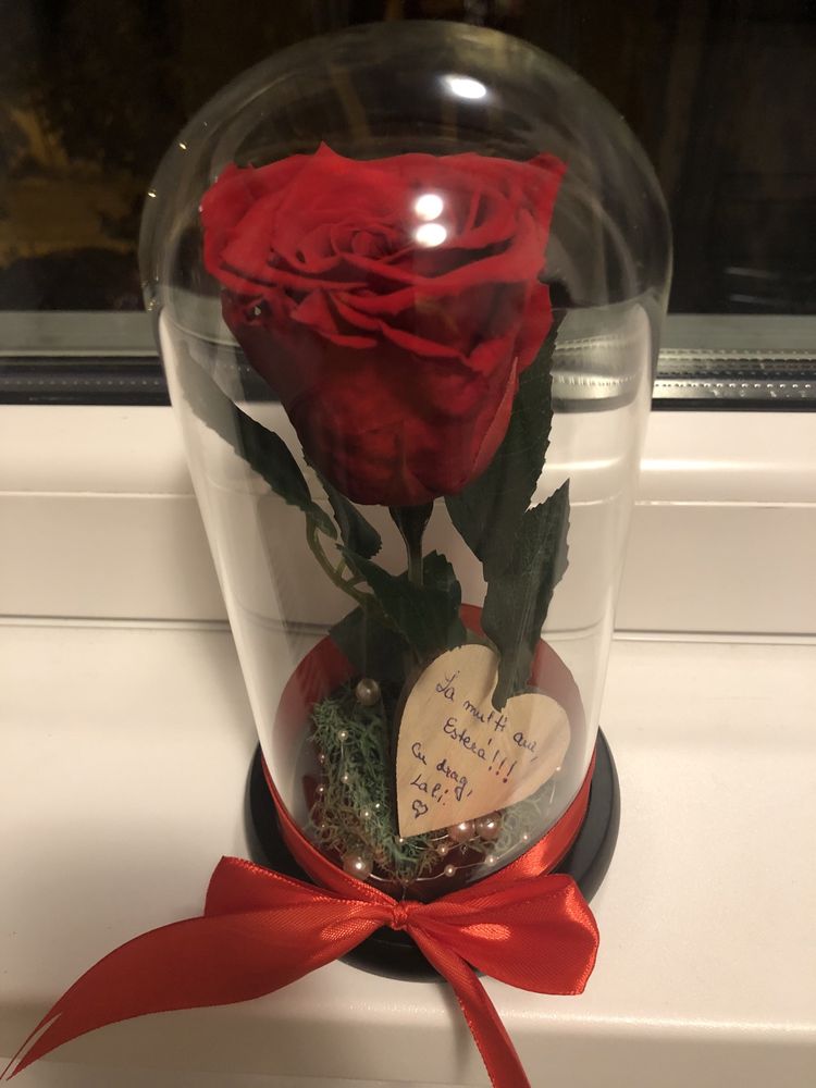 Cupola de sticla cu trandafir criogenat rosu
