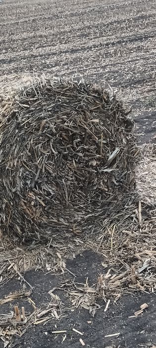 Baloți tulei de 120 pe 120