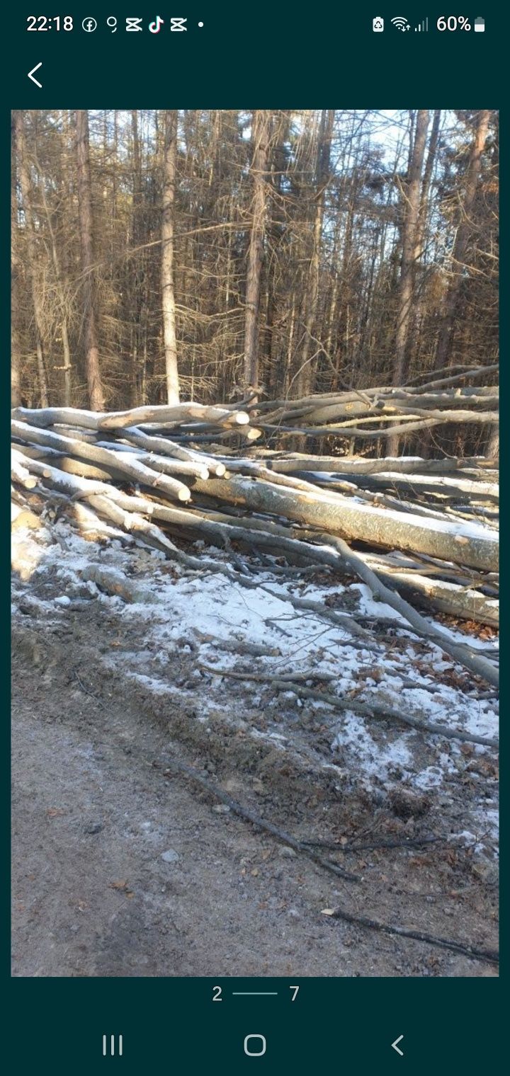 A venit iarna și nu are cine sa te încălzească. Sună-mă