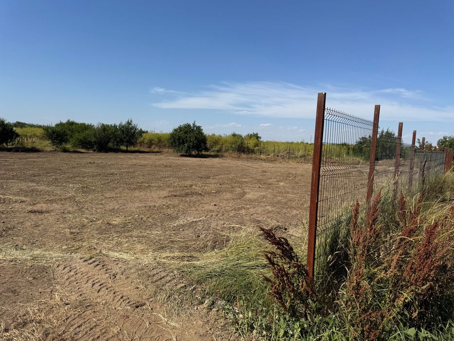 Teren intravilan 1643mp Cernica 8min Pallady ,acces facil A2/A0