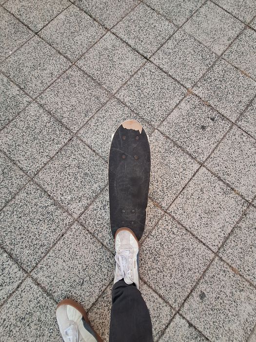 Placă skateboard King's Downhill