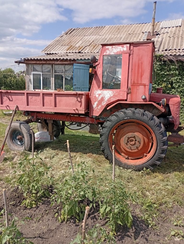 Продам трактор т 16