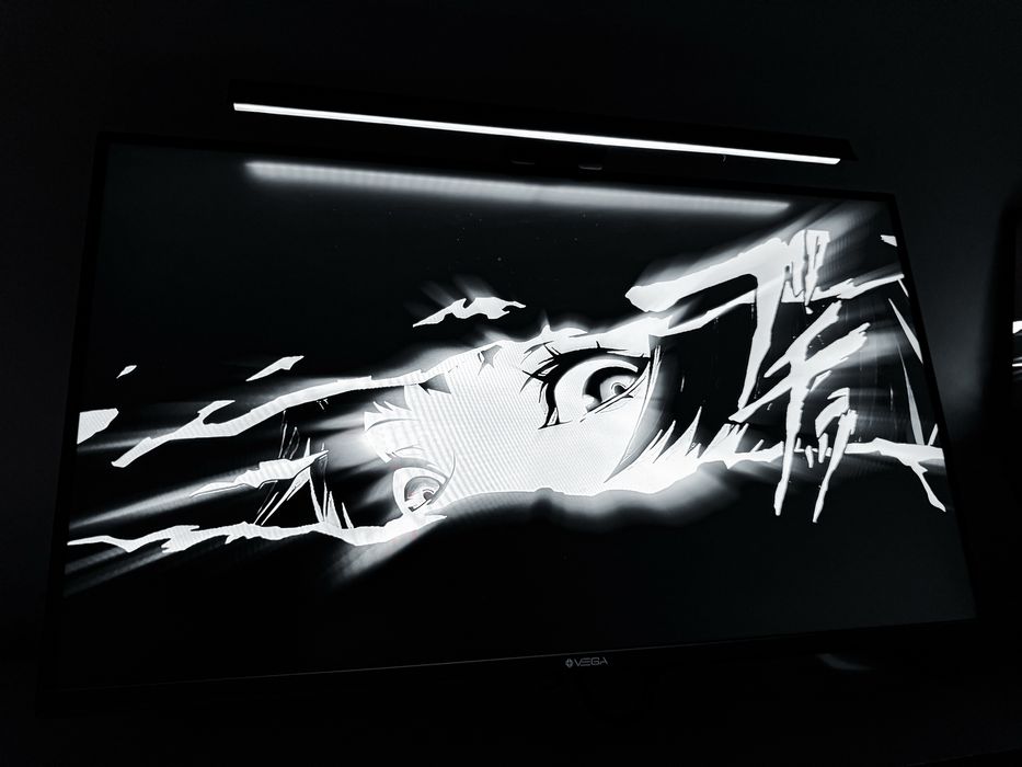 Монитор VEGA 27/165гц