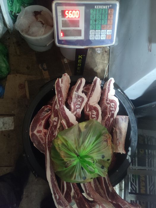 Продам 1 сирак, жарты ет, пол туши кунан