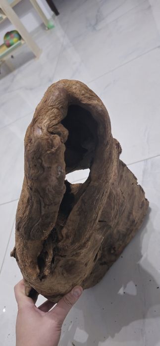 Lemn natura acvariu MANGROVE