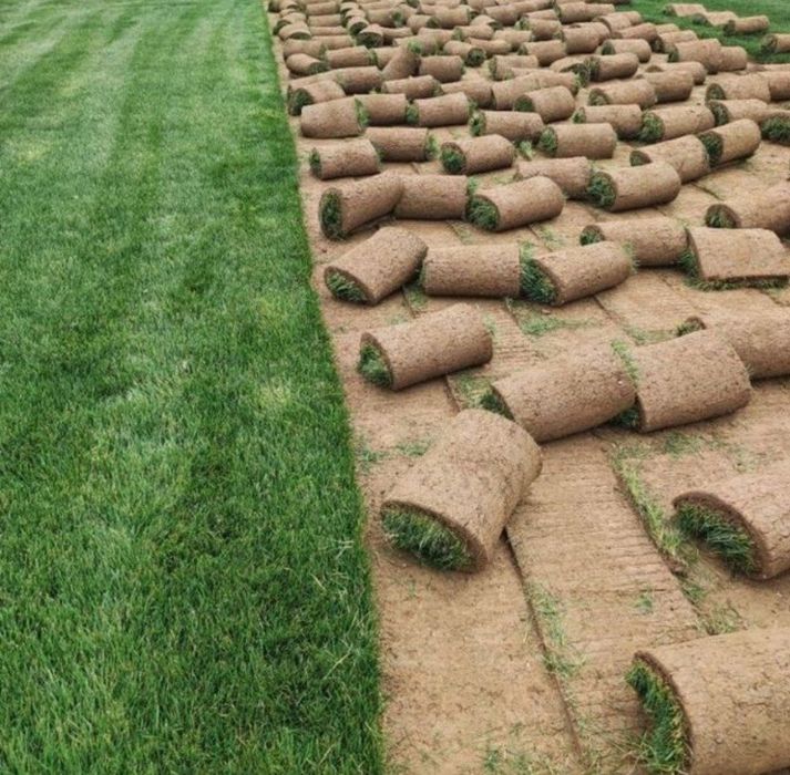 Gazon Ekish va Urug' sepish