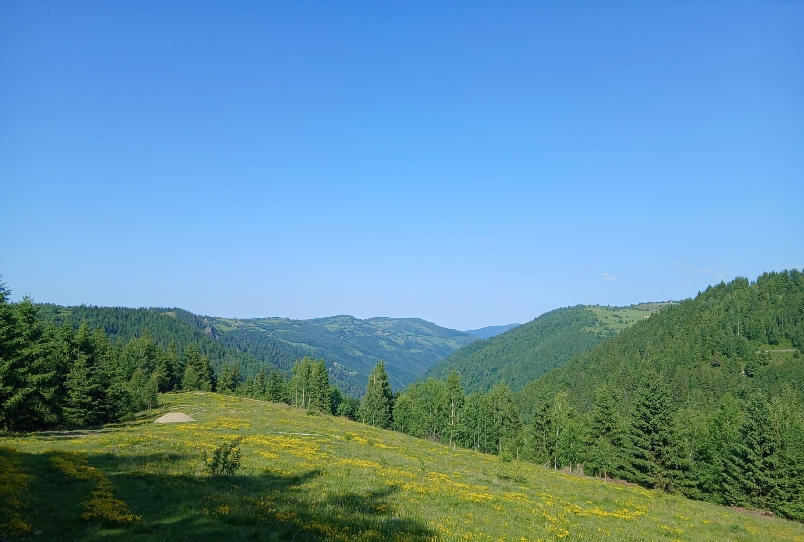 Vând teren în Maguri, județul Cluj